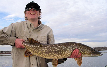 Guided Fly Fishing for Large Pike